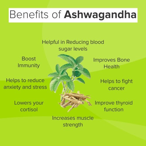 Ashwagandha Brahmi Body Oil